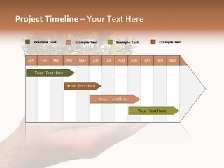 Palm With Tree PowerPoint Template