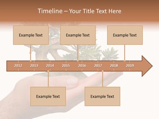 Palm With Tree PowerPoint Template