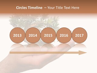 Palm With Tree PowerPoint Template