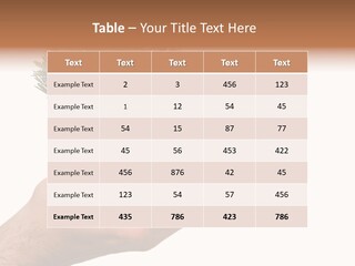 Palm With Tree PowerPoint Template