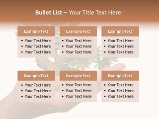 Palm With Tree PowerPoint Template