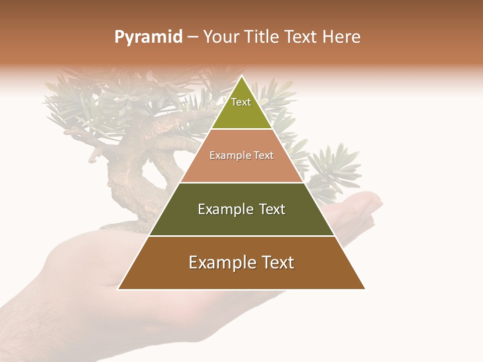 Palm With Tree PowerPoint Template