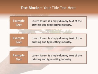 Palm With Tree PowerPoint Template