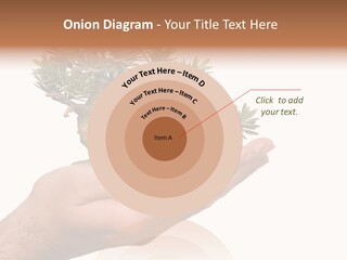 Palm With Tree PowerPoint Template