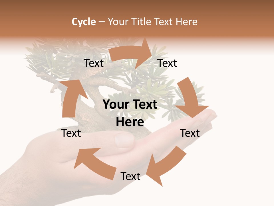Palm With Tree PowerPoint Template