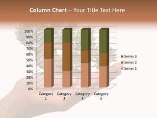 Palm With Tree PowerPoint Template