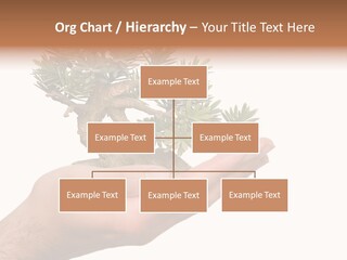 Palm With Tree PowerPoint Template