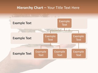 Palm With Tree PowerPoint Template