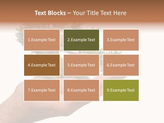 Palm With Tree PowerPoint Template