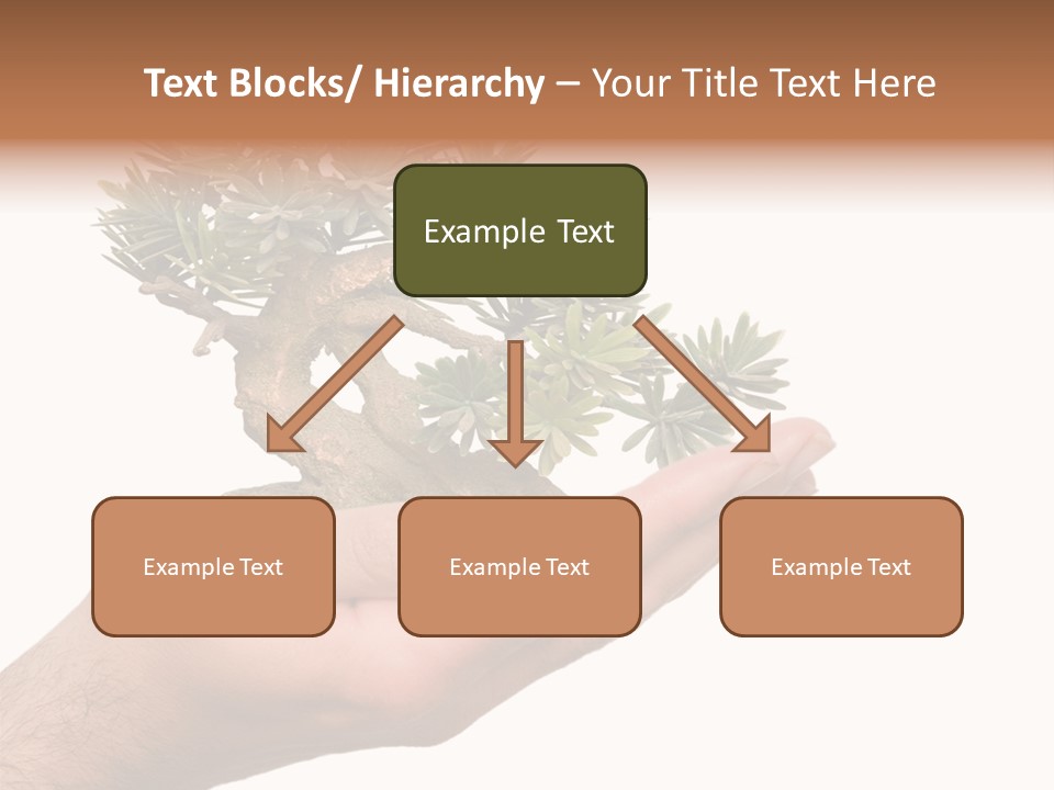 Palm With Tree PowerPoint Template