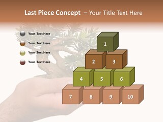 Palm With Tree PowerPoint Template