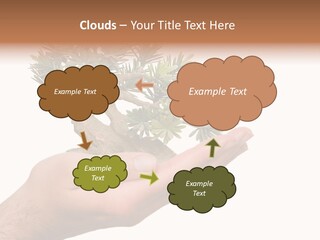Palm With Tree PowerPoint Template