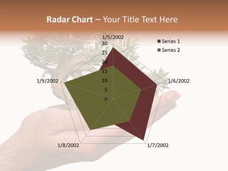 Palm With Tree PowerPoint Template