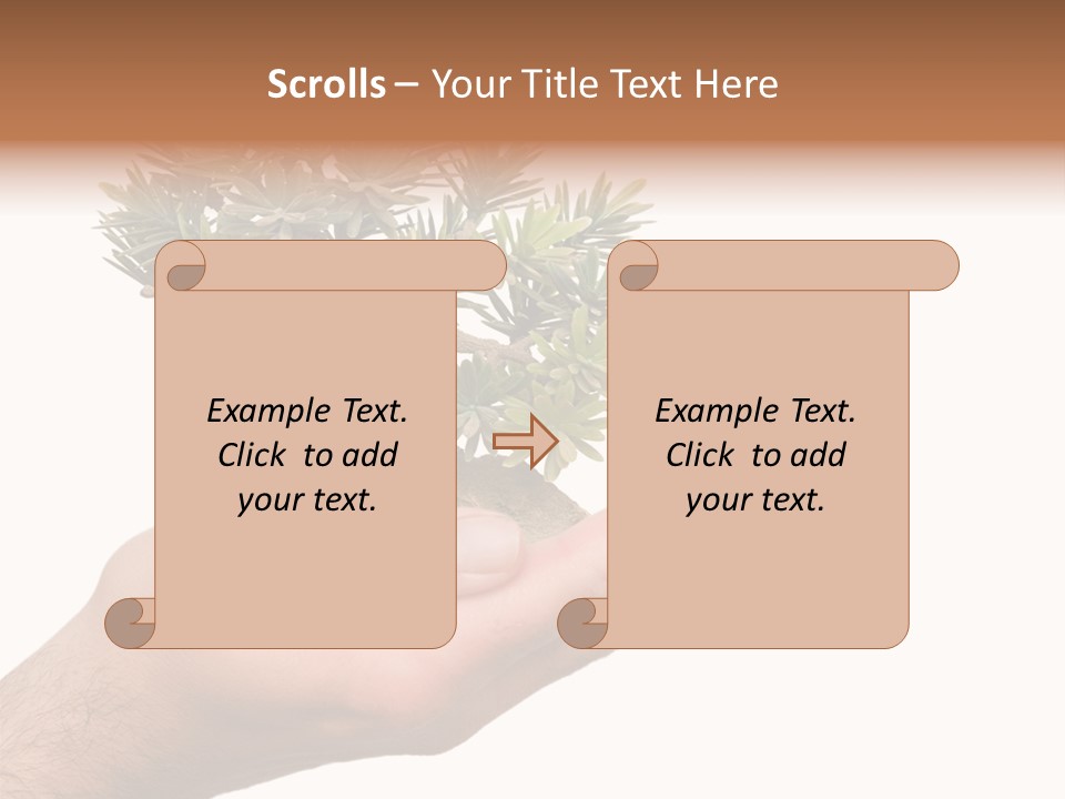 Palm With Tree PowerPoint Template