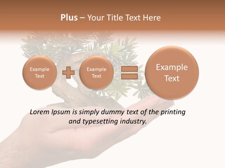 Palm With Tree PowerPoint Template