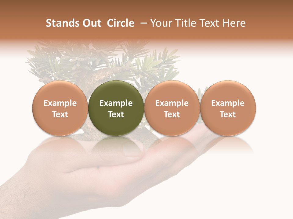 Palm With Tree PowerPoint Template