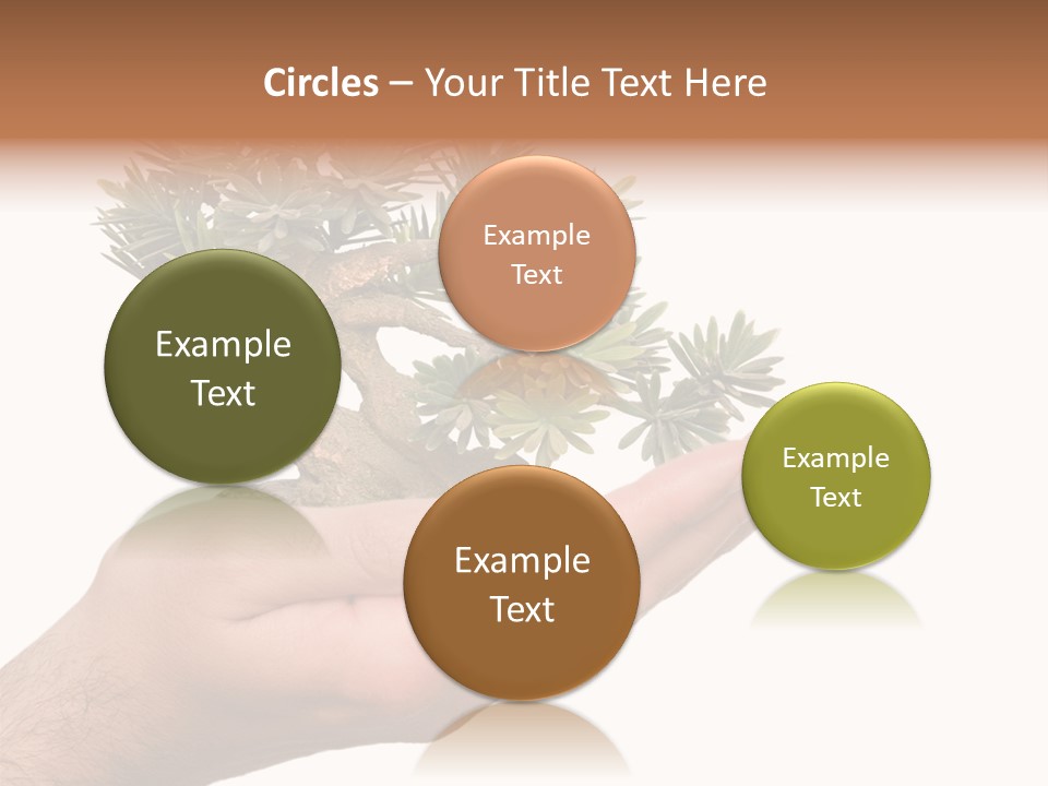 Palm With Tree PowerPoint Template