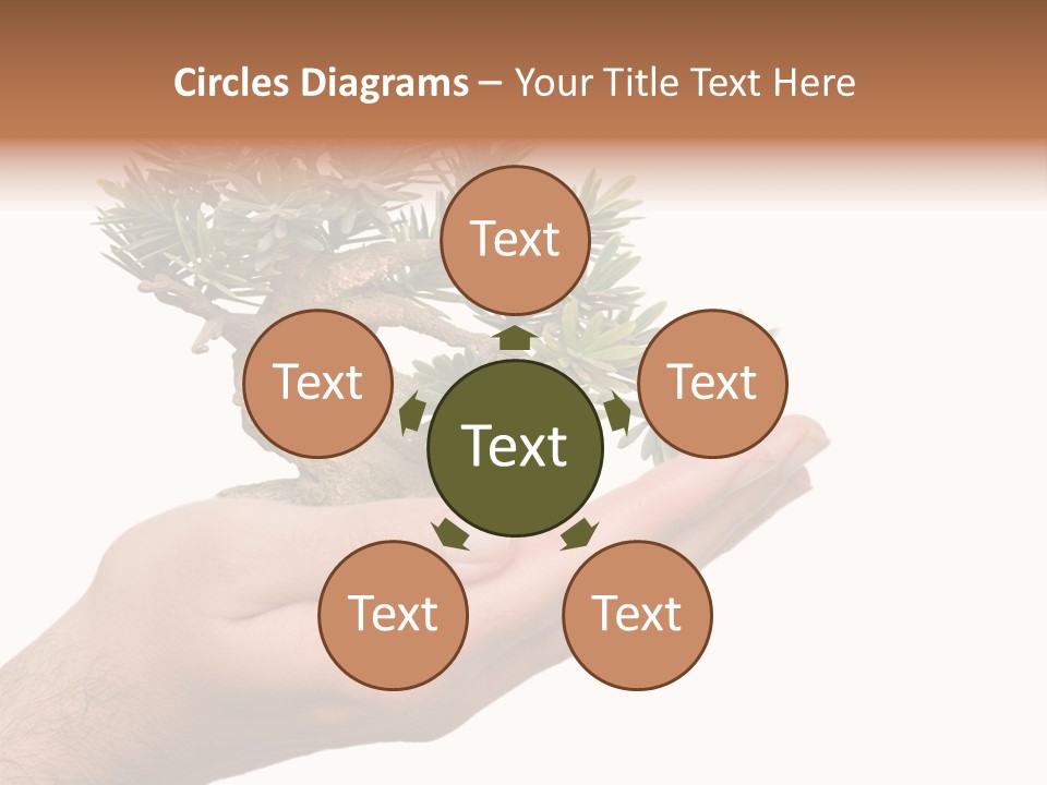 Palm With Tree PowerPoint Template