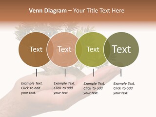 Palm With Tree PowerPoint Template