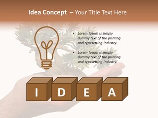 Palm With Tree PowerPoint Template