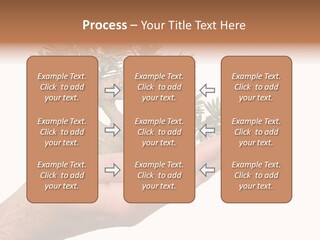 Palm With Tree PowerPoint Template