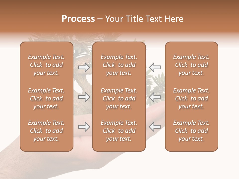 Palm With Tree PowerPoint Template