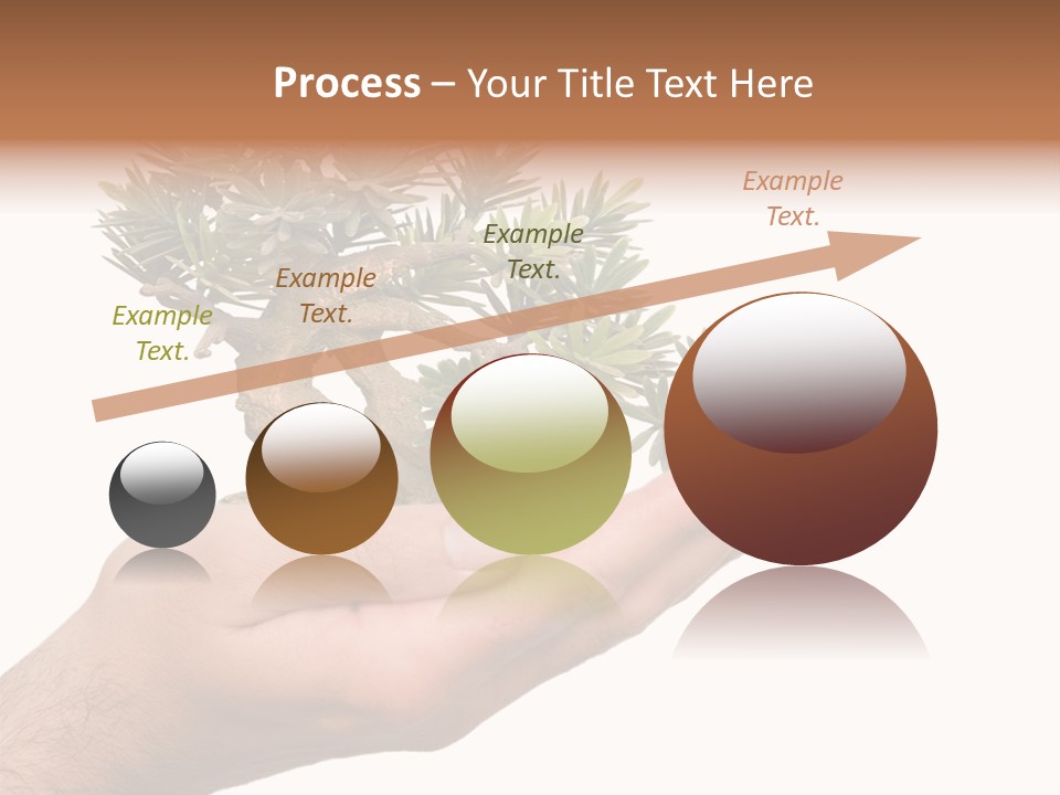 Palm With Tree PowerPoint Template