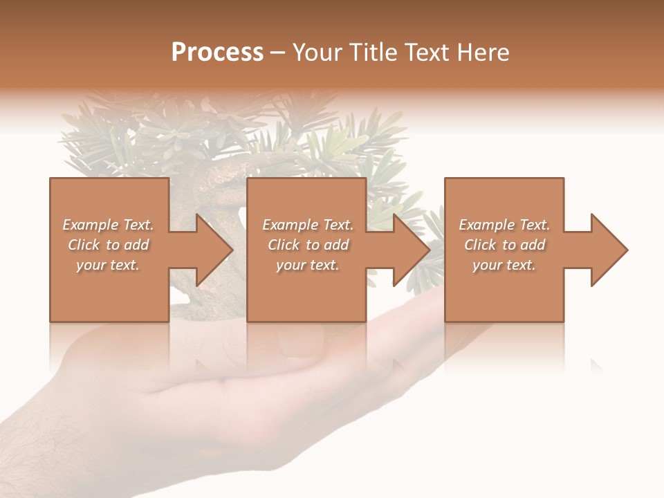 Palm With Tree PowerPoint Template