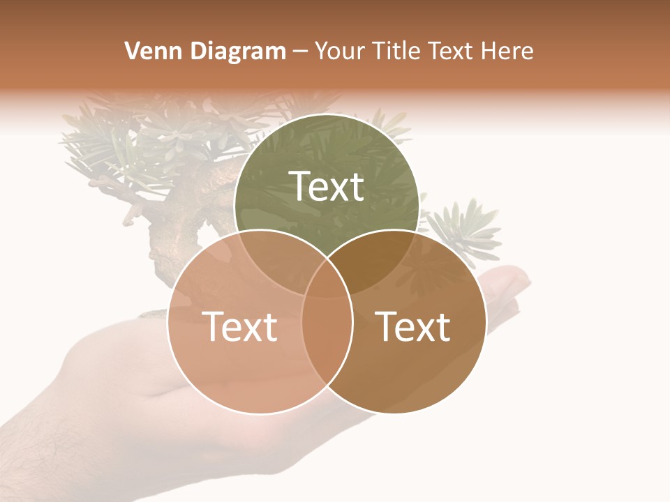 Palm With Tree PowerPoint Template