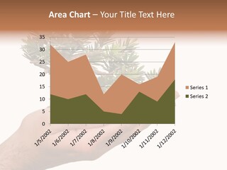 Palm With Tree PowerPoint Template