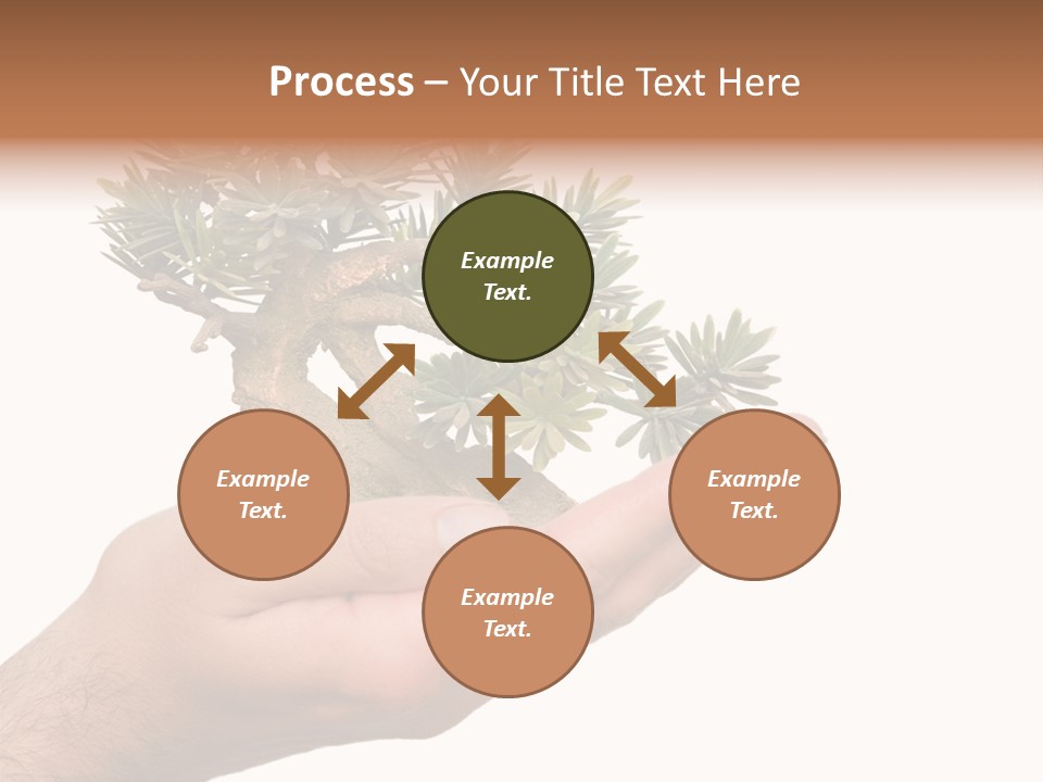 Palm With Tree PowerPoint Template