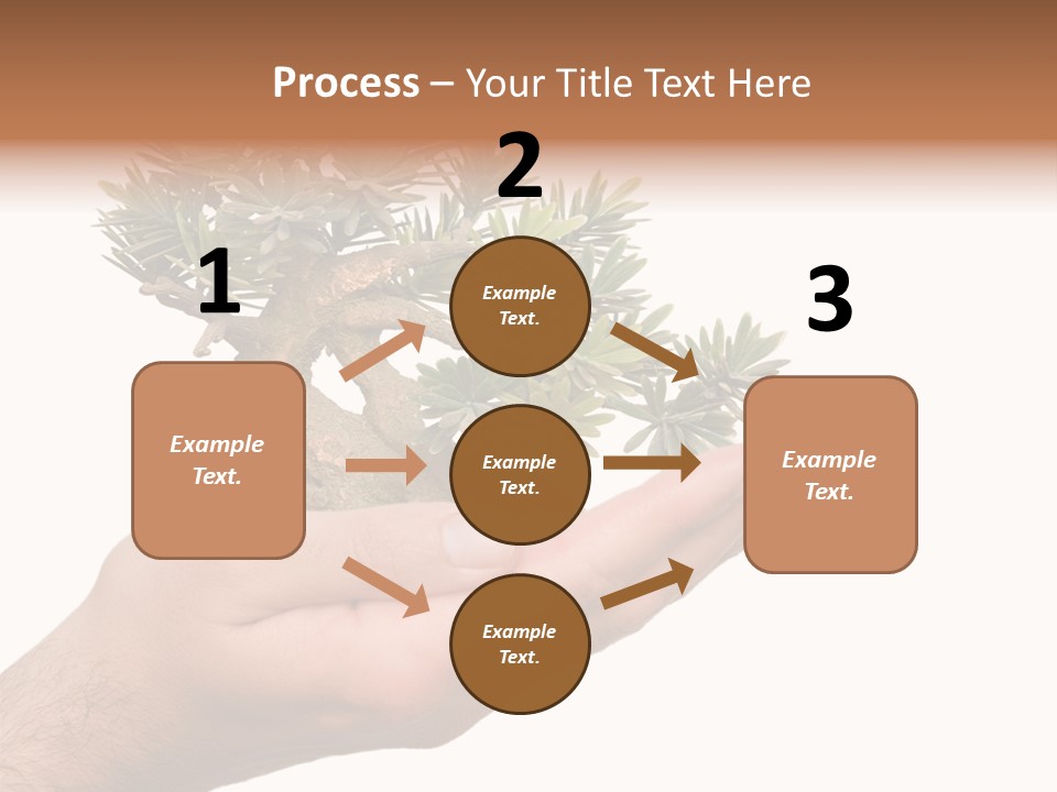 Palm With Tree PowerPoint Template