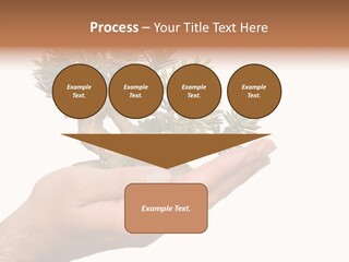 Palm With Tree PowerPoint Template