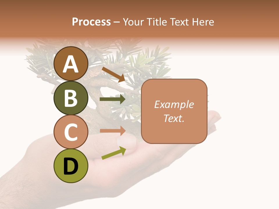 Palm With Tree PowerPoint Template