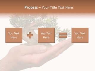 Palm With Tree PowerPoint Template