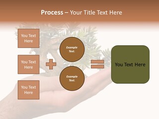 Palm With Tree PowerPoint Template
