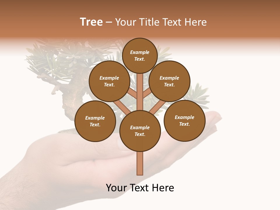 Palm With Tree PowerPoint Template