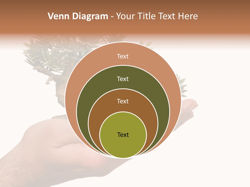 Palm With Tree PowerPoint Template