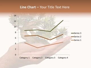 Palm With Tree PowerPoint Template