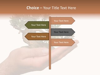 Palm With Tree PowerPoint Template