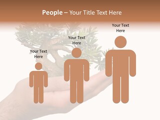 Palm With Tree PowerPoint Template
