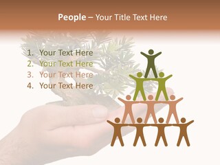 Palm With Tree PowerPoint Template