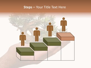 Palm With Tree PowerPoint Template