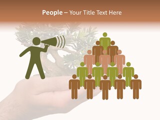 Palm With Tree PowerPoint Template