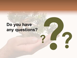 Palm With Tree PowerPoint Template