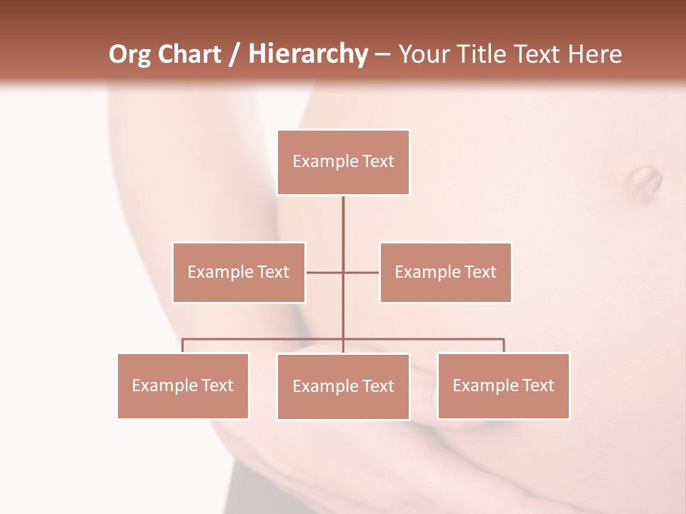 Close-Up, Pregnant Woman Is Stroking Belly On The White Background PowerPoint Template