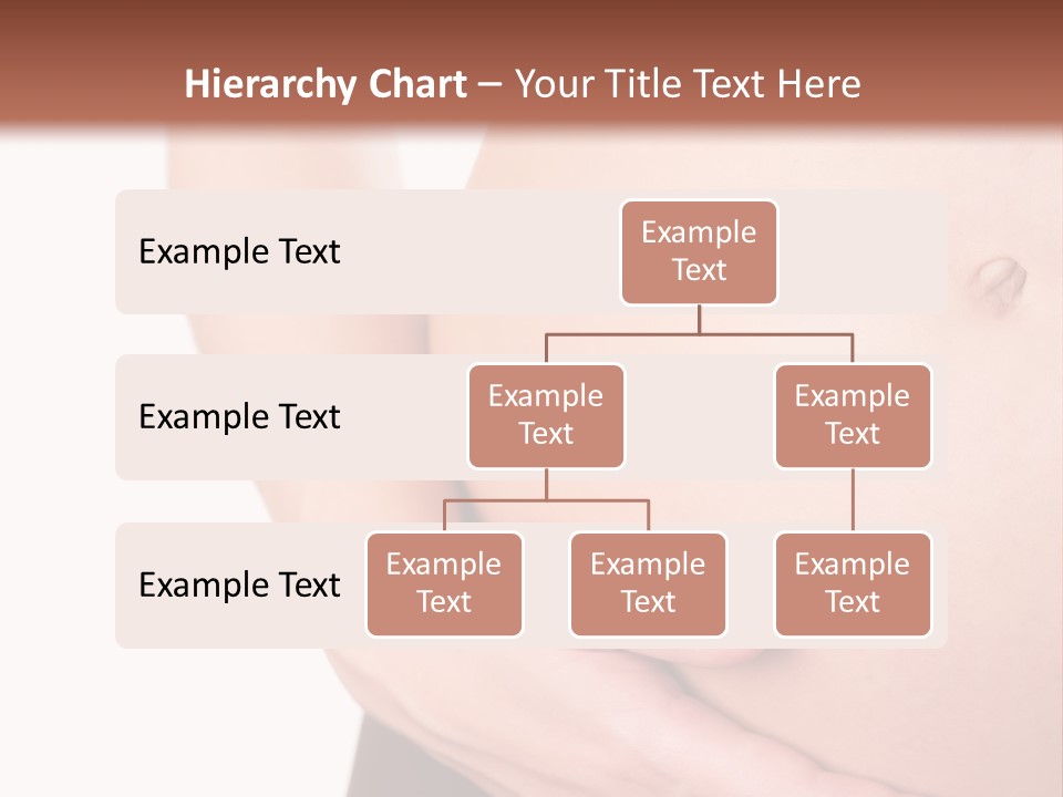Close-Up, Pregnant Woman Is Stroking Belly On The White Background PowerPoint Template