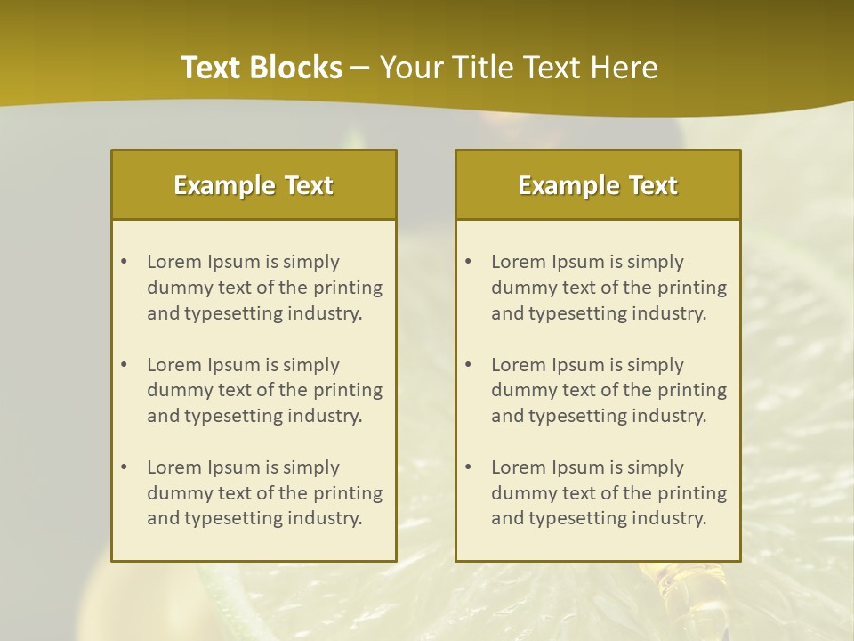 Bottle Of Essence Oil With Fresh Limes - Beauty Treatment PowerPoint Template