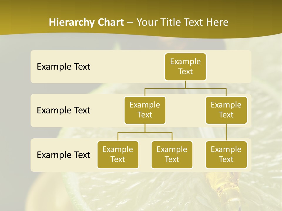 Bottle Of Essence Oil With Fresh Limes - Beauty Treatment PowerPoint Template