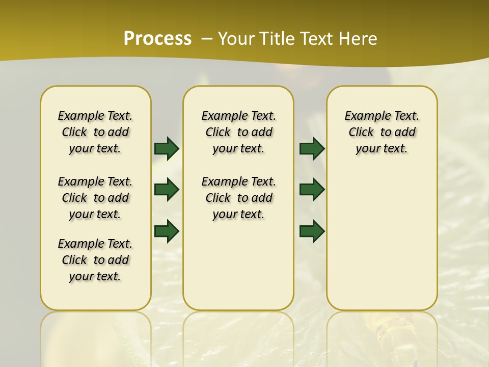 Bottle Of Essence Oil With Fresh Limes - Beauty Treatment PowerPoint Template